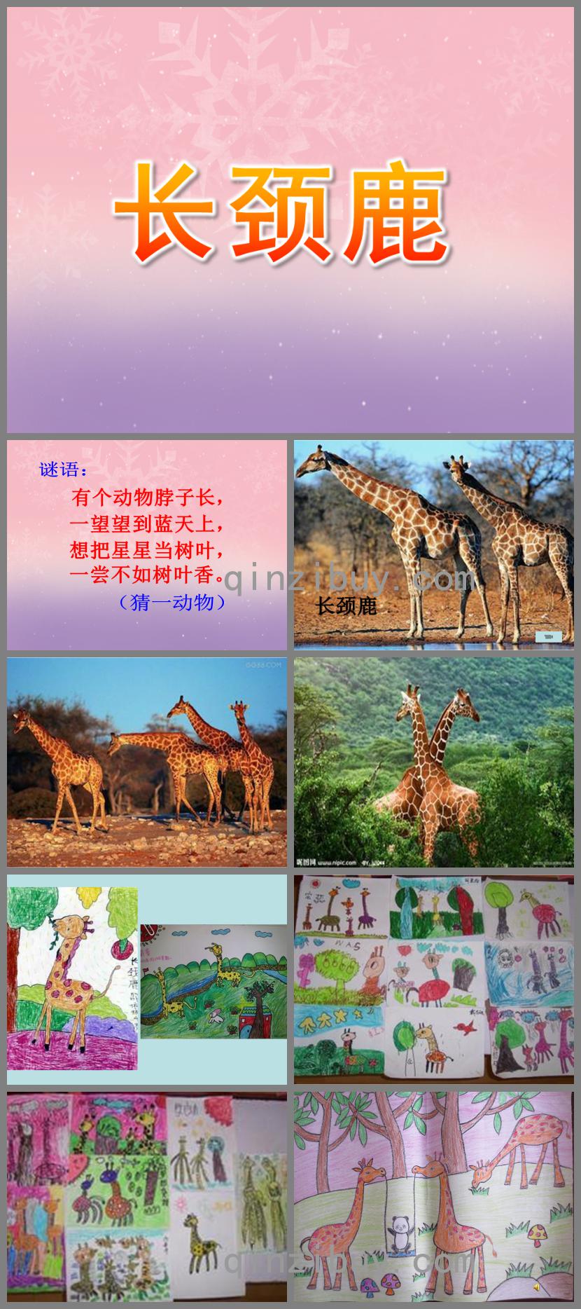 大班繪畫長頸鹿PPT課件