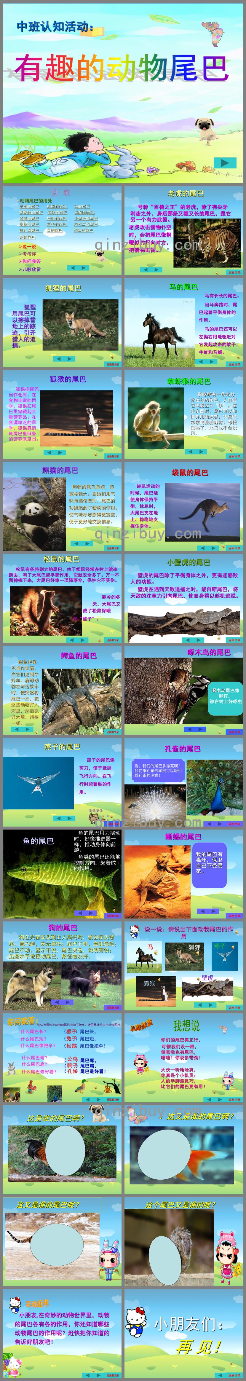 中班認知動物的尾巴PPT課件
