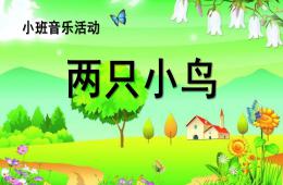 小班音樂活動兩只小鳥PPT課件歌曲