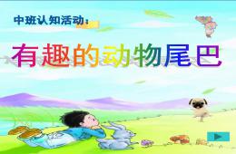 中班認知動物的尾巴PPT課件