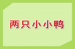 小班音樂兩只小小鴨PPT課件歌曲