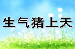 中班語言生氣豬上天PPT課件