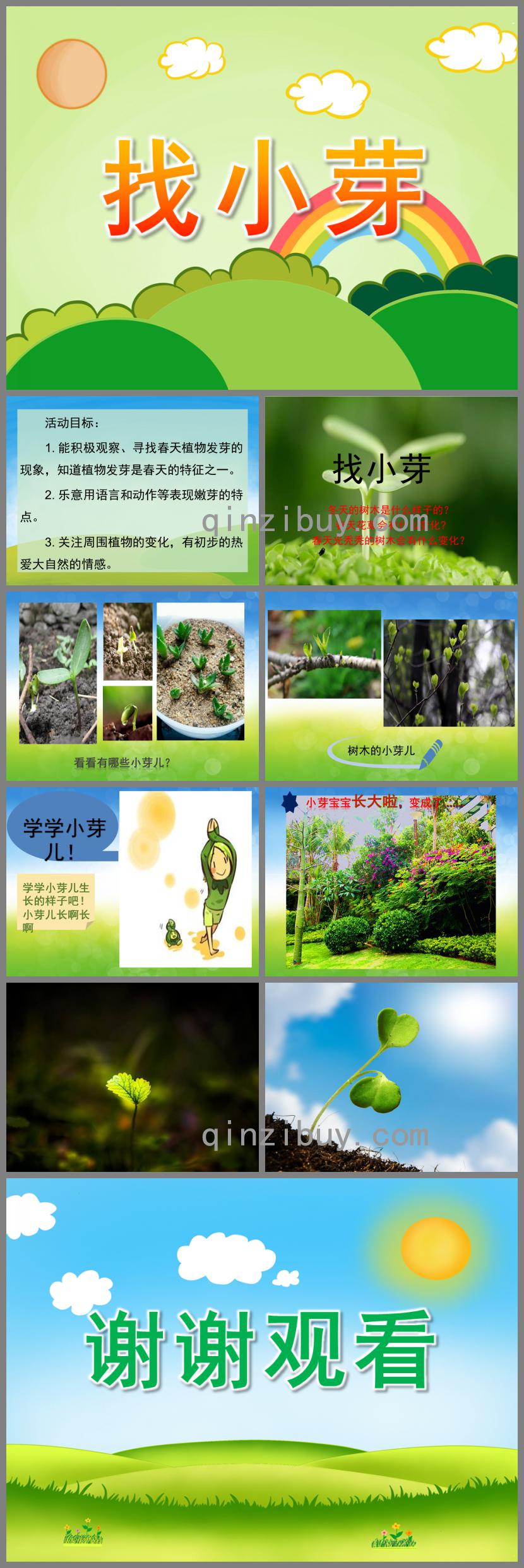 小班科學找小芽PPT課件