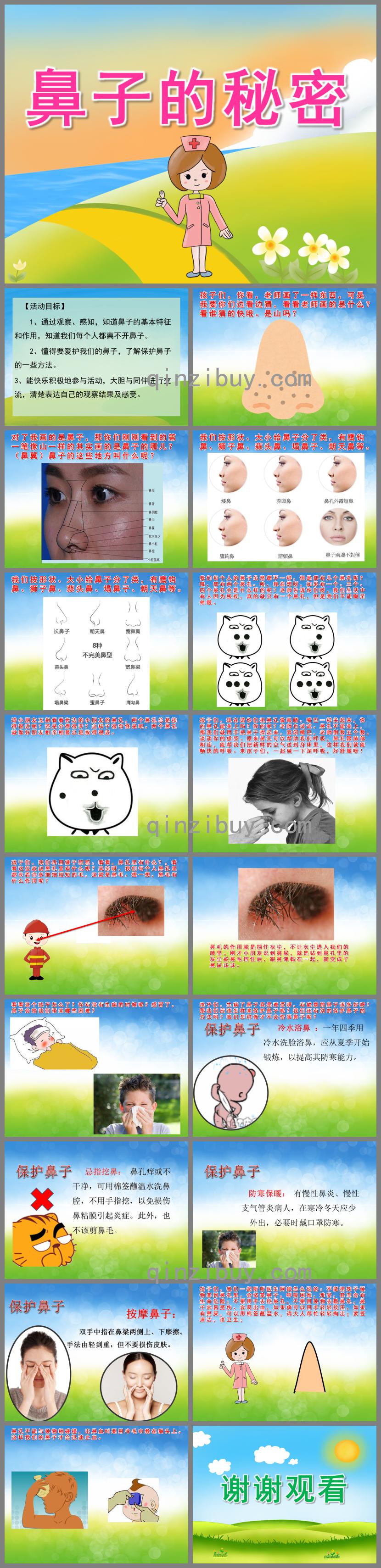 中班健康鼻子的秘密PPT課件