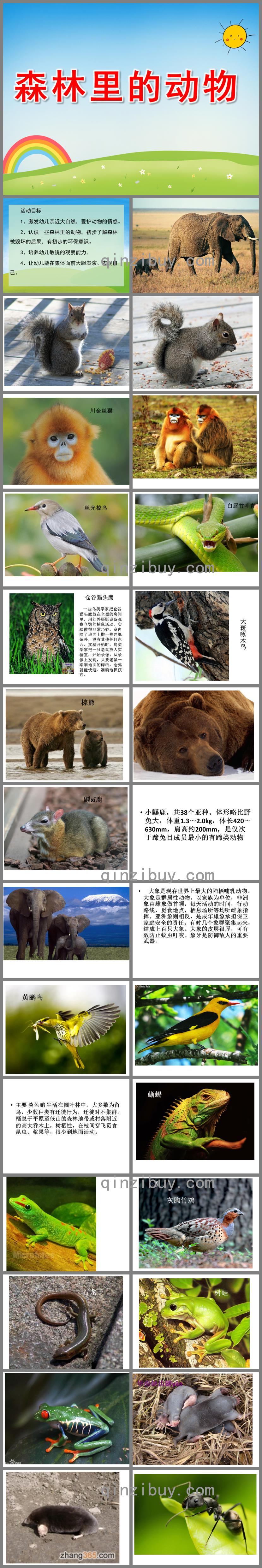 大班主題森林里的動(dòng)物PPT課件
