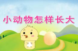 中班科學小動物怎樣長大PPT課件