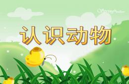 幼兒園科學認識動物PPT課件