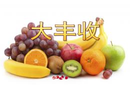 大班社會(huì)大豐收PPT課件