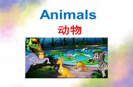 幼兒園英語動物PPT課件