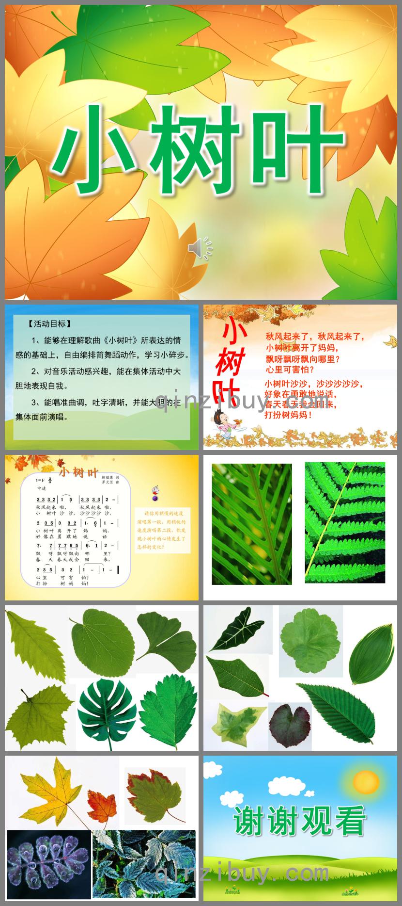 小樹葉PPT課件音樂