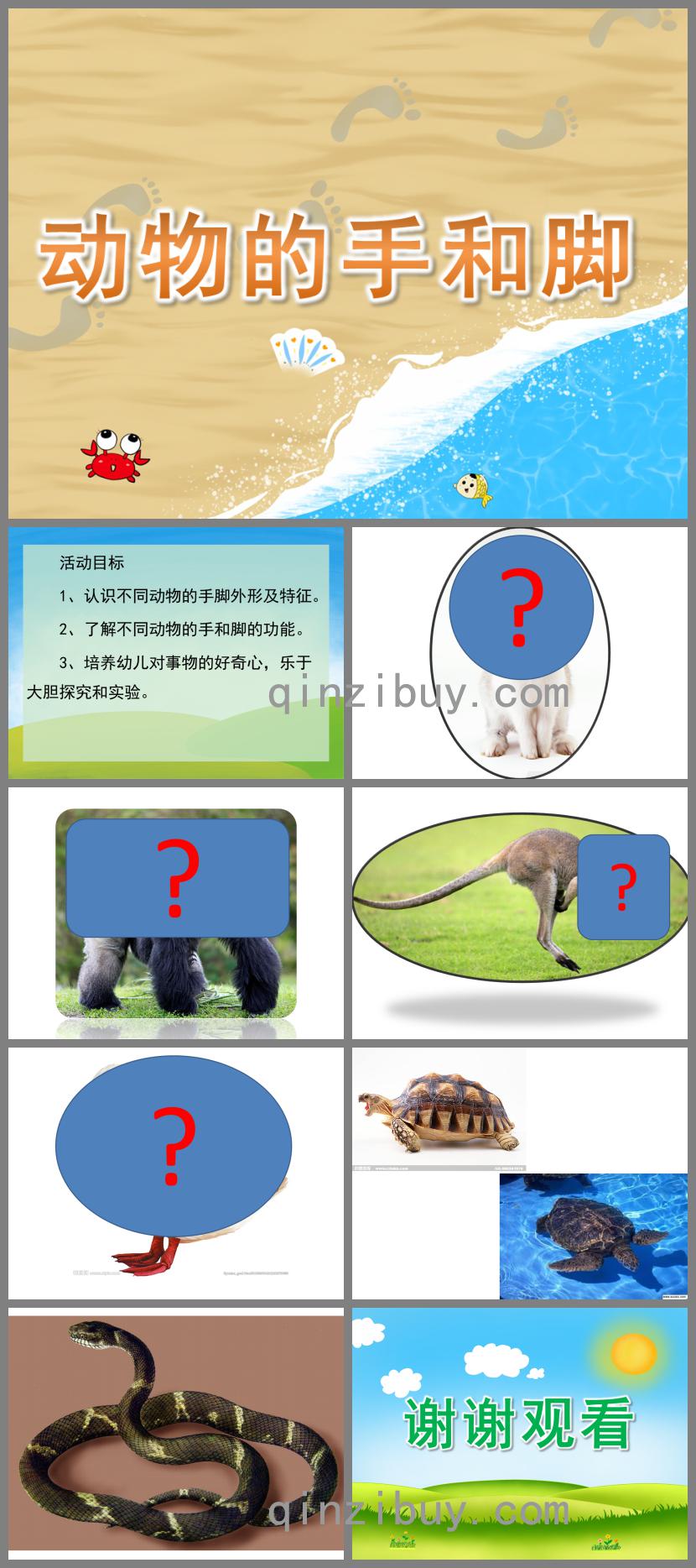 小班科學動物的手和腳PPT課件