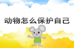 中班科學動物怎么保護自己PPT課件