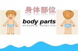 小班英語身體部位PPT課件