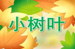 小樹葉PPT課件音樂