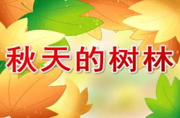 大班美術(shù)水粉畫(huà)秋天的樹(shù)林PPT課件音樂(lè)