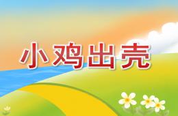 小班音樂小雞出殼PPT課件歌曲