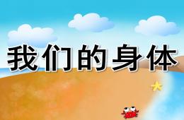 小班助教我們的身體PPT課件