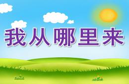 大班主題我從哪里來PPT課件