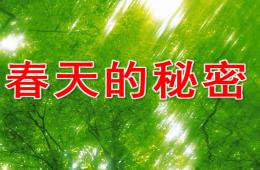 中班詩歌春天的秘密PPT課件