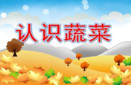 幼兒園親子活動認識蔬菜PPT課件