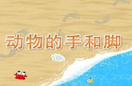 小班科學動物的手和腳PPT課件