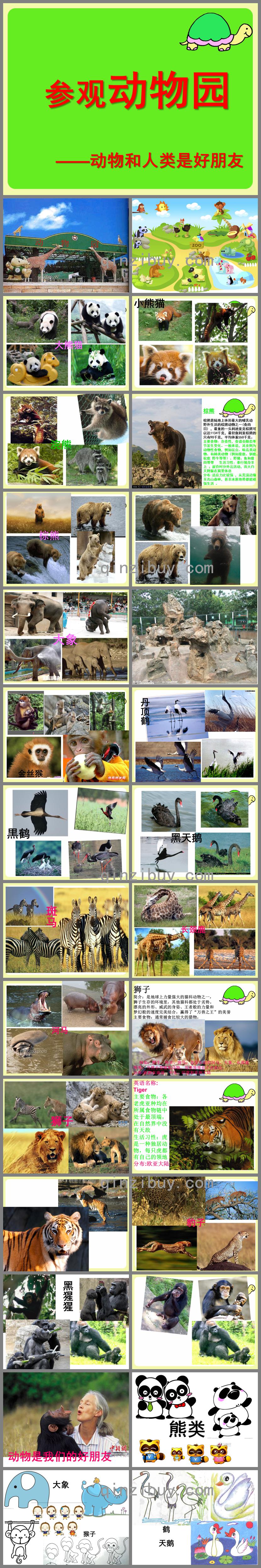 中班社會參觀動物園PPT課件