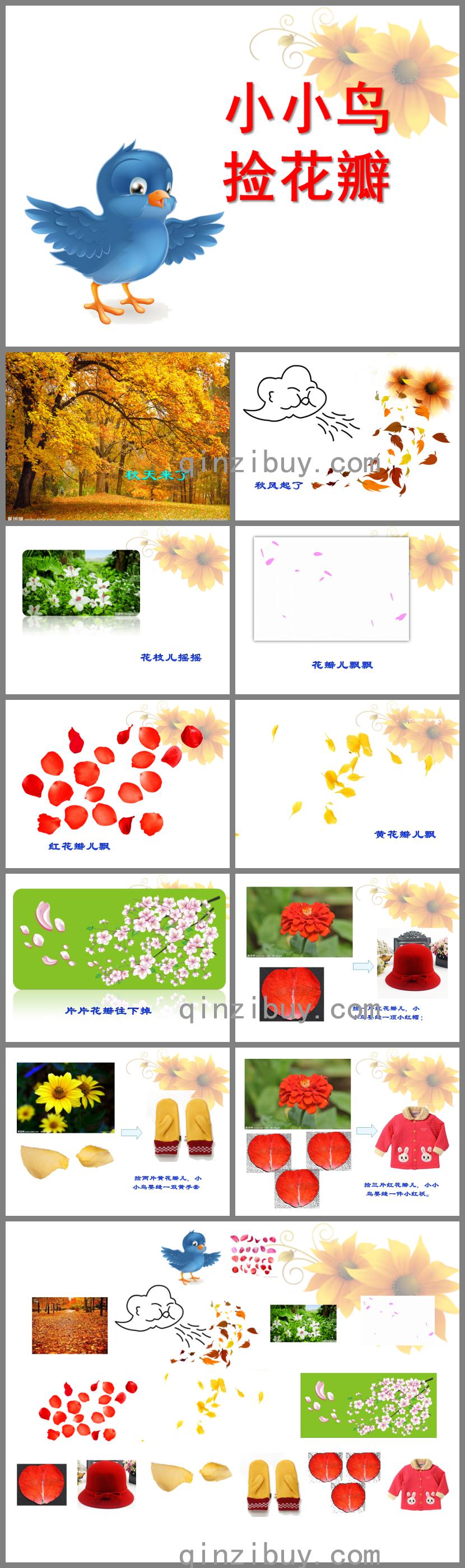 中班語言詩歌小小鳥撿花瓣PPT課件