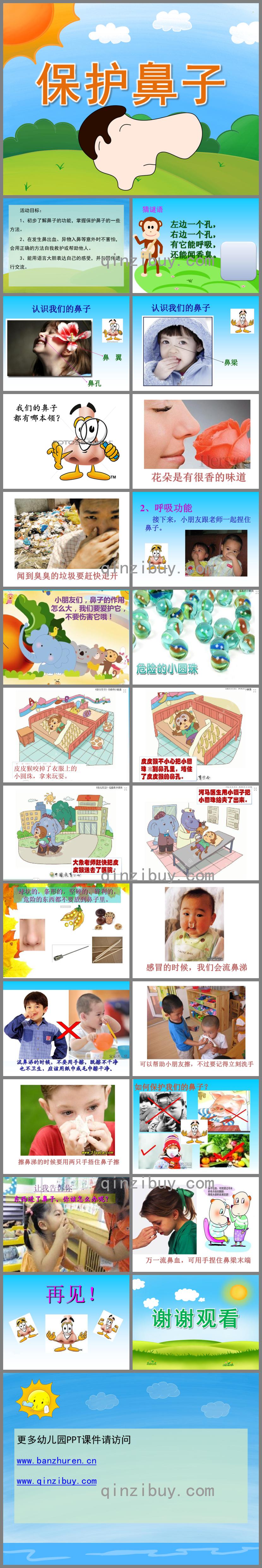中班安全保護鼻子PPT課件