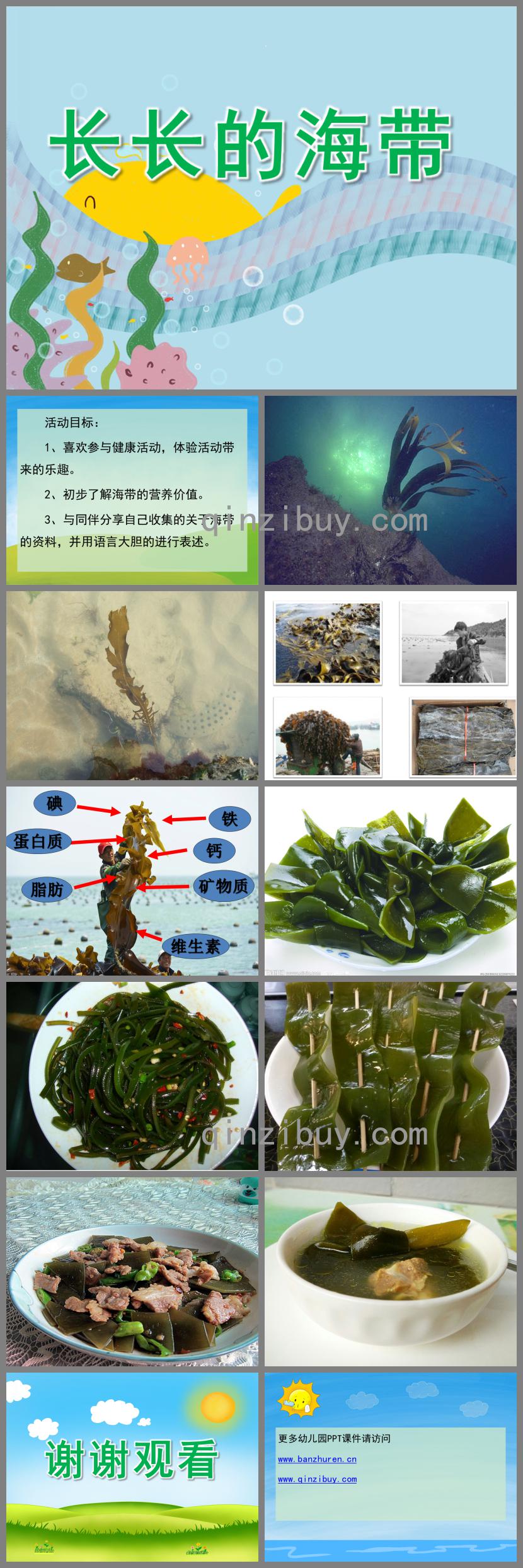大班健康長長的海帶PPT課件