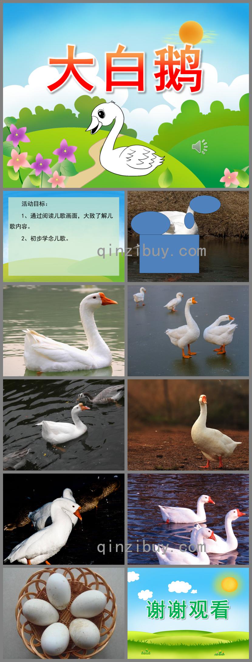 小班語言大白鵝PPT課件歌曲