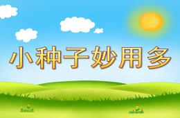 中班科學小種子妙用多PPT課件