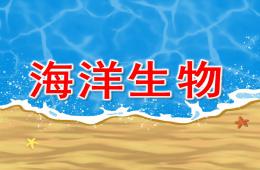 中班科學海洋生物PPT課件
