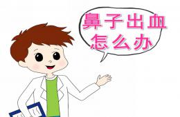 中班健康鼻子出血怎么辦PPT課件
