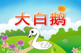 小班語言大白鵝PPT課件歌曲