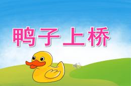大班音樂鴨子上橋PPT課件音頻