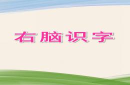 小班右腦識字PPT課件