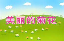 中班科學美麗的菊花PPT課件