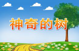 中班語言活動神奇的樹PPT課件