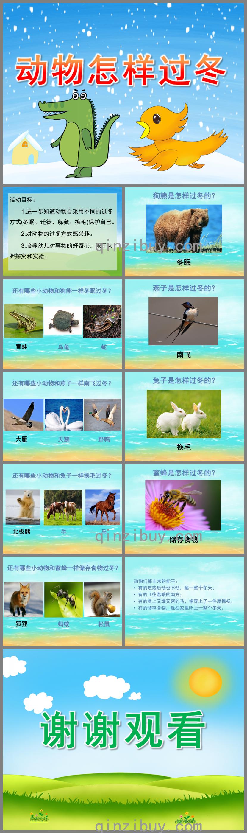 大班科學活動動物怎樣過冬PPT課件