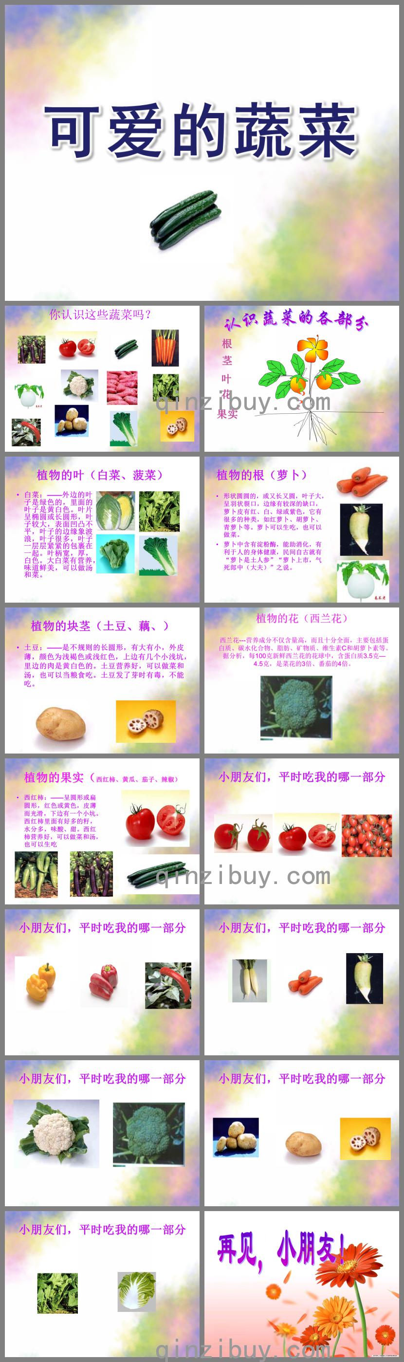 小班音樂可愛的蔬菜PPT課件配樂