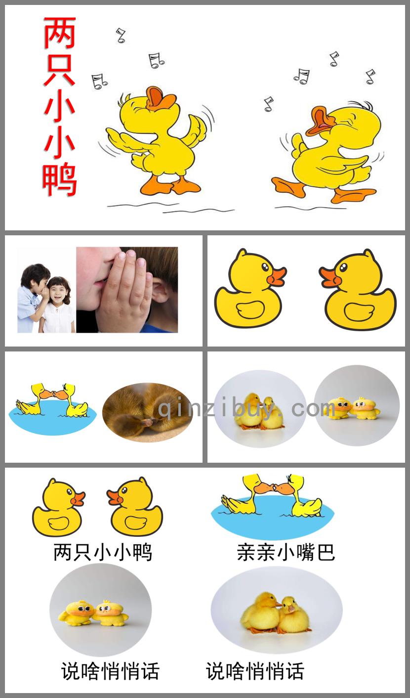 幼兒園藝術領域兩只小小鴨PPT課件音樂