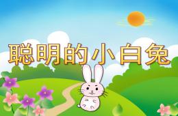小班語言聰明的小白兔PPT課件音效