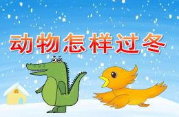 大班科學(xué)活動動物怎樣過冬PPT課件