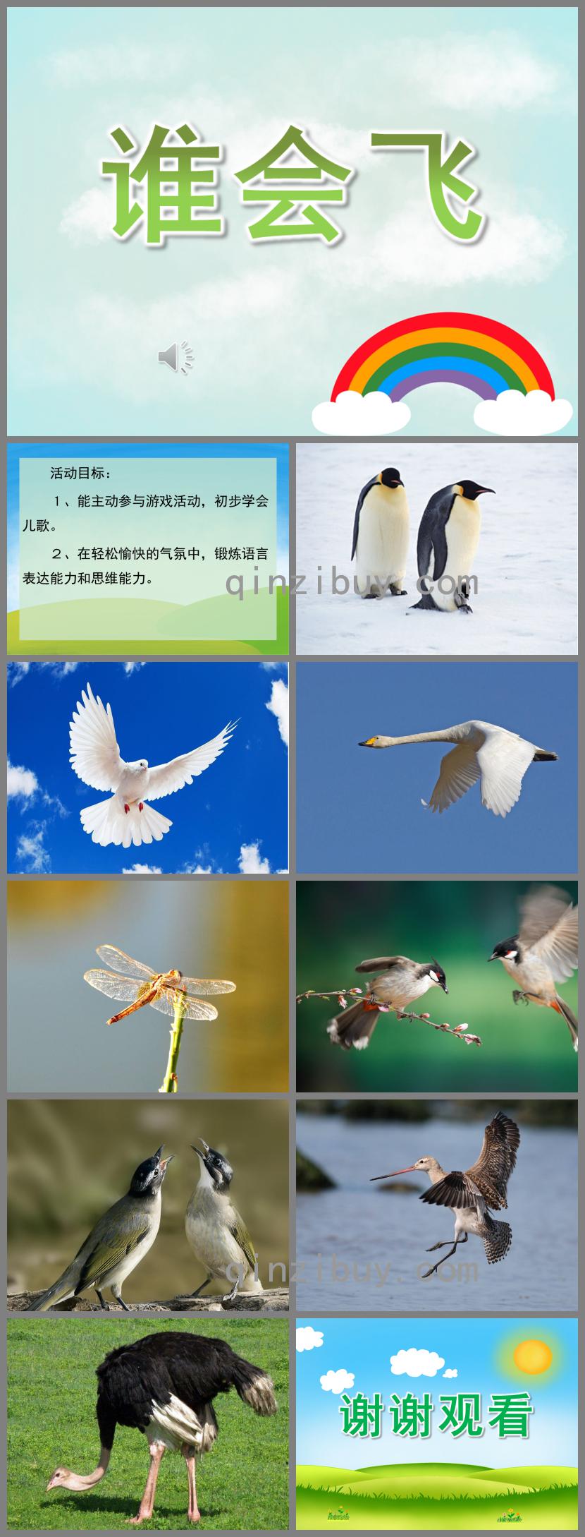 小班語言誰會飛PPT課件歌曲