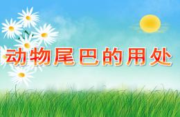 小班動物尾巴的用處PPT課件