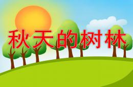 大班刮蠟畫秋天的樹林PPT課件