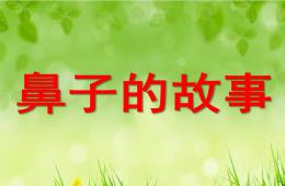 大班綜合鼻子的故事PPT課件