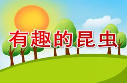 大班科學(xué)活動有趣的昆蟲PPT課件