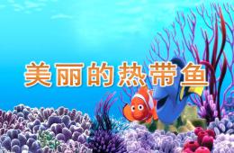 大班美術美麗的熱帶魚PPT課件
