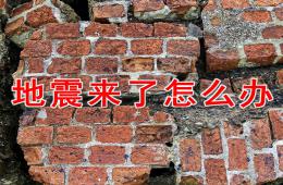 中班安全地震來了怎么辦PPT課件音效視頻